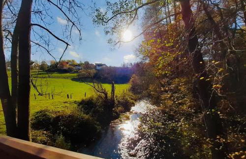 Westerwaldhaus - Foto 12