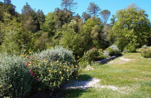 mulino della rivolta - Foto 56