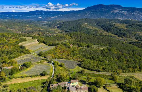 Holiday Home Franz by Interhome - Photo 6