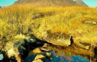 Creran Apartment, Kinlochlaich House - Foto 19