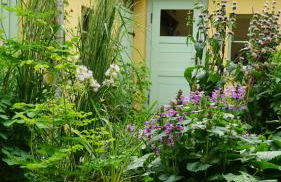 Pension zum Hirschstein - Photo 29