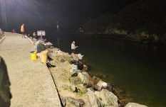 GH Barra da Lagoa - Foto 59