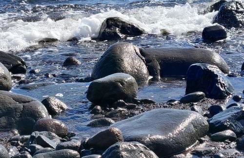 Casa da Madalena do Mar - Foto 40