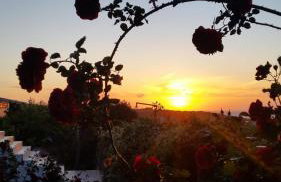 Alexandra Homestay - Foto 53