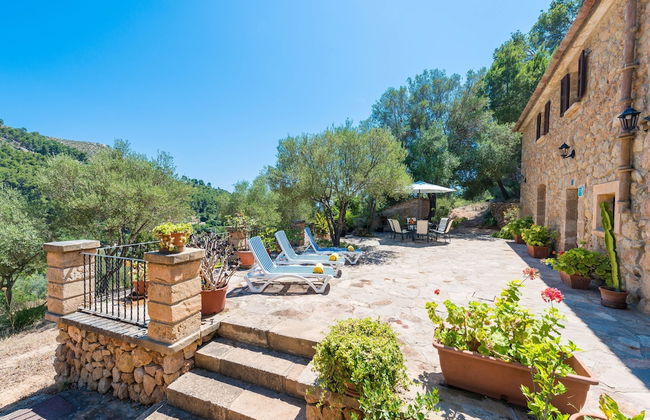 Sa Tarongera in Andratx - Foto 8