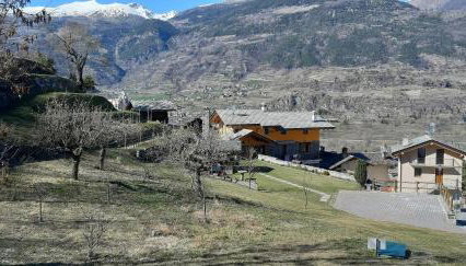 maison Venoir2 - Foto 5, Garden view