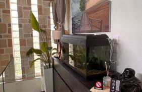 Heraklia villa sea view pool & jacuzzi - Foto 78