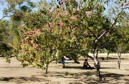 Sudoeste, com rede na varanda e excelente local! - Foto 35