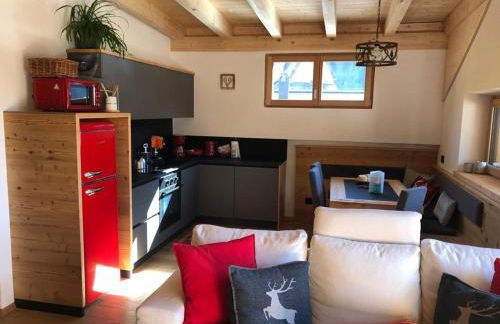 Cèsa Prinoth - Foto 9