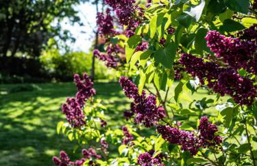 altes forsthaus schotten - Foto 35