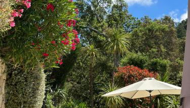 Le Mouron Rouge - Foto 5