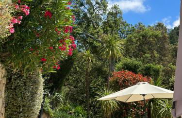 Le Mouron Rouge - Foto 5