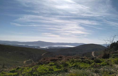CASA NOVA MONTALEGRE - Foto 29
