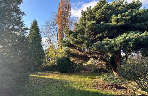 Entspannung am Niederrhein - großes helles Haus mit Kamin - Foto 28