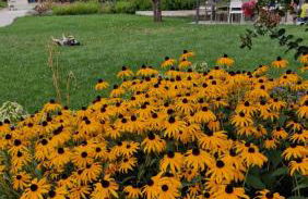 Agriturismo Borgo Riva Granda - Foto 67