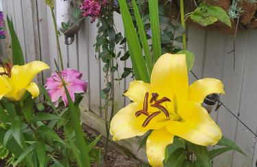 Rūm by the beach - Foto 37