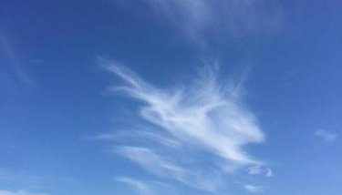 AMBER Dębki - Foto 2