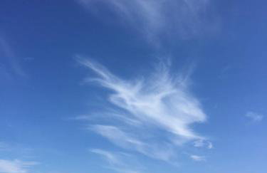 AMBER Dębki - Foto 2