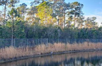 Beachy Bliss the perfect stay - Foto 2