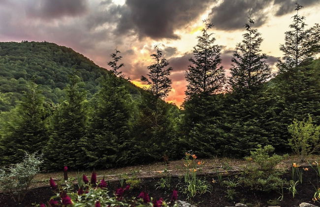 Hickory Nut Hideaway by Avantstay Mountain Views - Foto 17