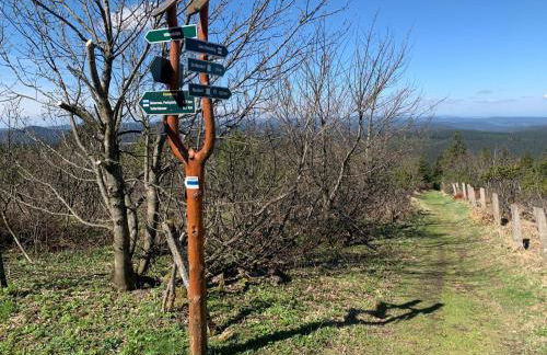 Ferienwohnungen Börnert am "Klingerbach" - Foto 8