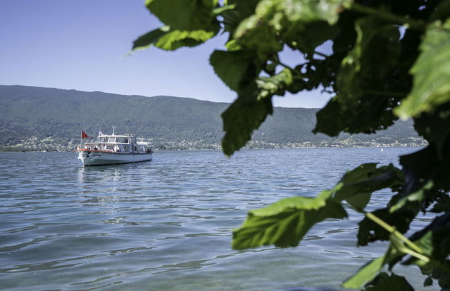 Le Pavillon des Fleurs - Foto 9