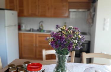 Traditional house in Akamatra square - Photo 9