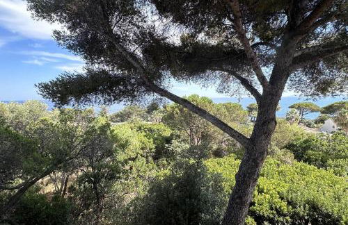 Apartment T4 with terrace in Roquebrune-sur-Argens - Foto 11