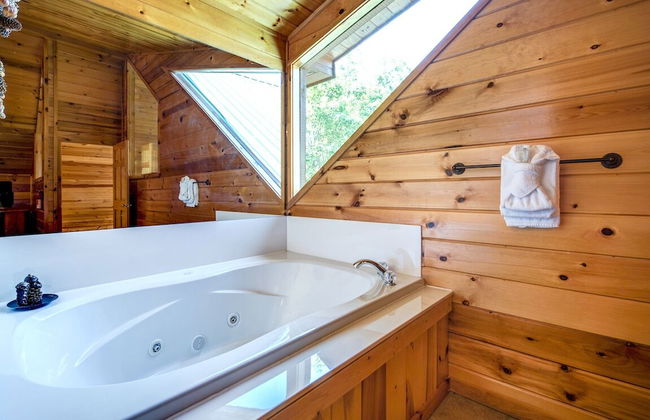 Bear Hunter - Foto 25