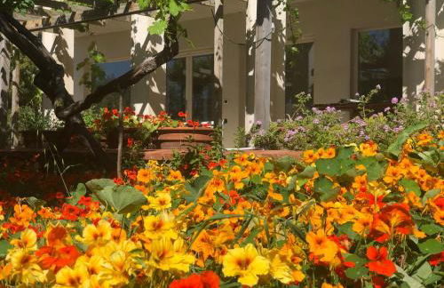 Casa Viola, splendido soggiorno sul mare - Foto 23