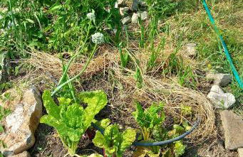 Casa del Sorriso - Foto 16