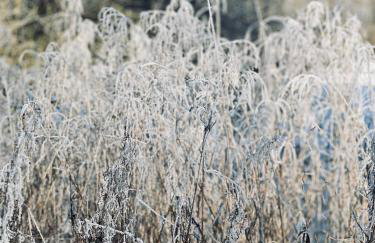 Apartament Jerzyn - Foto 56