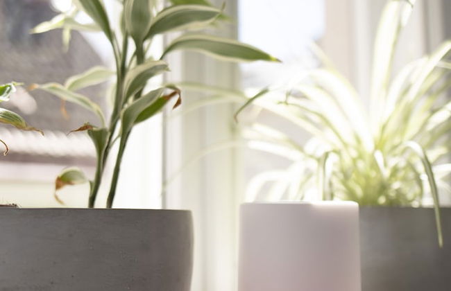 Old town Library Tartu Home Apartments - Foto 32