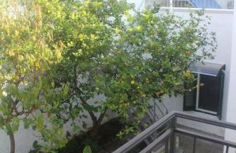 La Pergola di Amalia - Foto 21