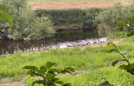 Wharfe Bank Cottage - Foto 50