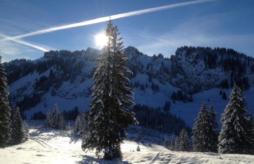 Ferienhof Wäldle - Wäldle 1 und Wäldle 2 mit Motorradvermietung - Photo 22