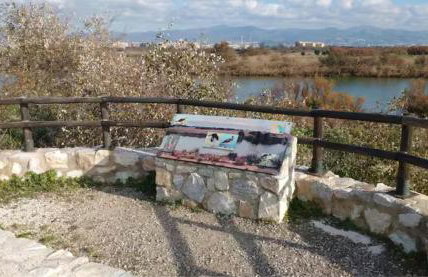 GUADALMARINA - Playa, Naturaleza y Ciudad - Foto 30