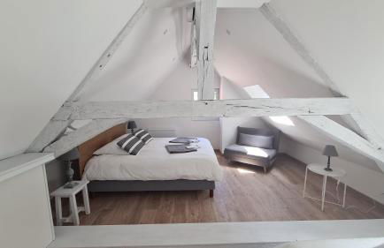 Domaine des Aulnaies - Beauval - Mareuil sur Cher - Foto 43