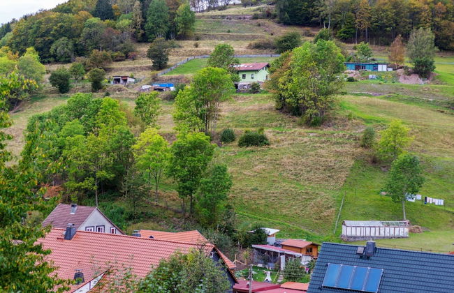Quiet Home Near Vessertal - Photo 32