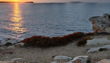 1 minute from beach - Baleal Wood Cabin - Foto 4