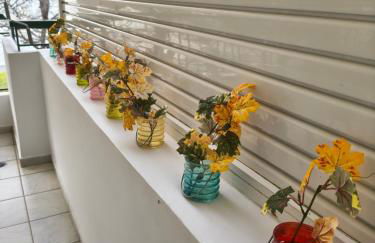 The cozy seaside apartment - Foto 51