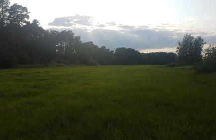 Ferienhaus im Grünen - Photo 32