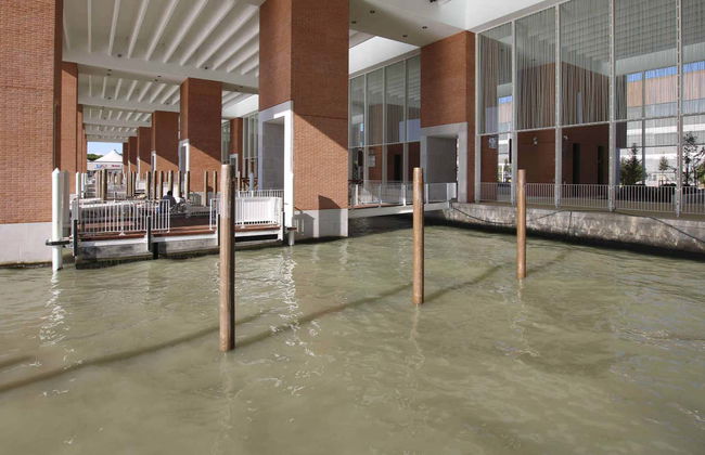 Transporte privado en watertaxi entre el aeropuerto y Venecia - Foto 3