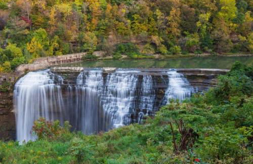 Private Attic room in shared home Near U of R - Photo 30