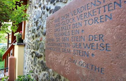 Ferienhaus-Winzerhaus Sasbach - Foto 6