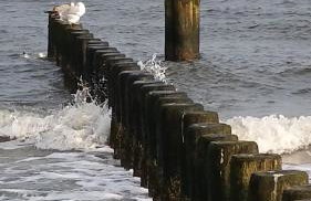 Ferienwohnung ÜckeRitz bei Familie Habben mit PKW Stellplatz - Foto 54