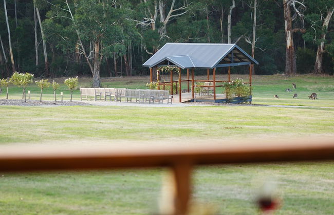 Yering Gorge Cottages - Foto 58