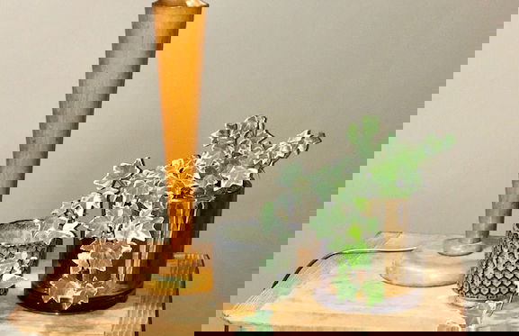 Perlépampille - Foto 53