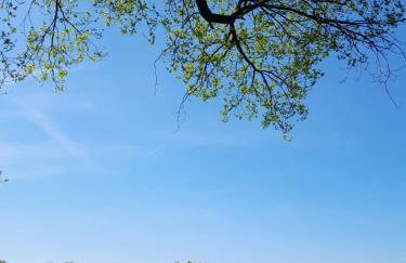 Fewo Waldtherme Relaxen, wandern, Radfahren - Foto 25