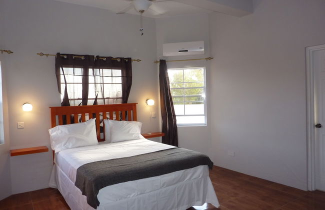 La Heliconia - Foto 4